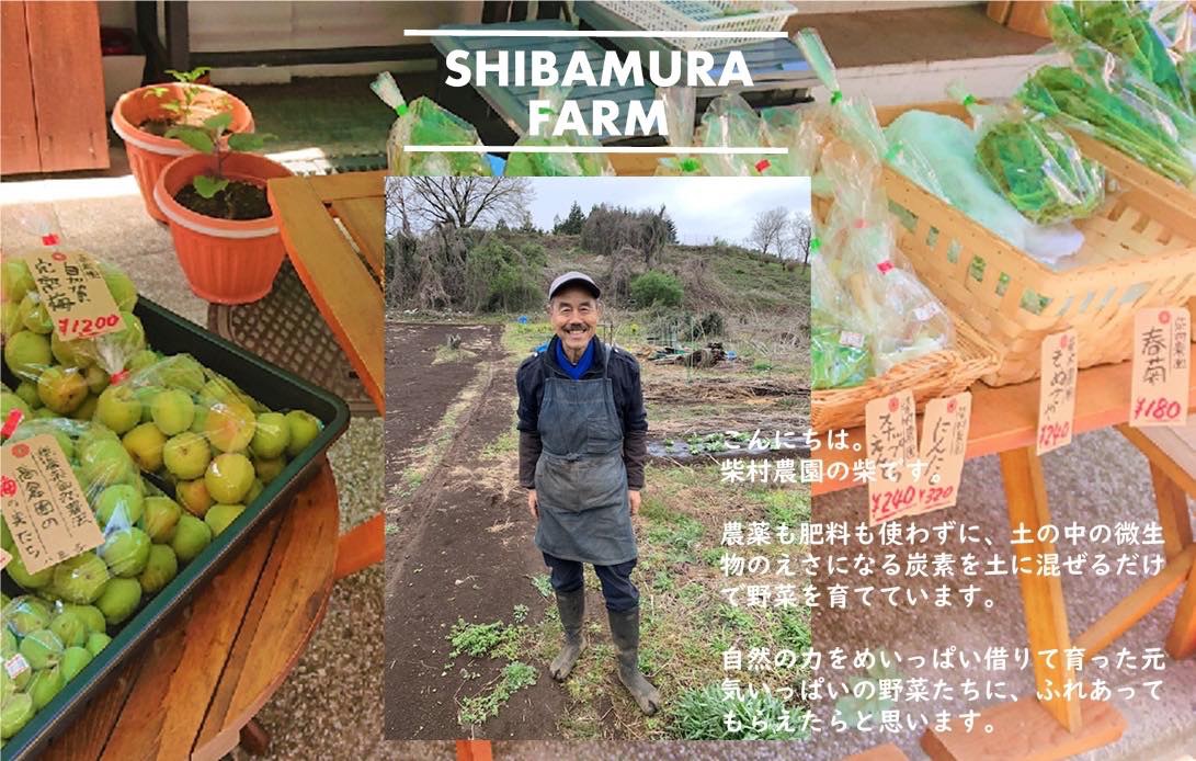 柴村農園 | 無農薬 野菜の販売なら株式会社ハーヴェストアース 東京都八王子市